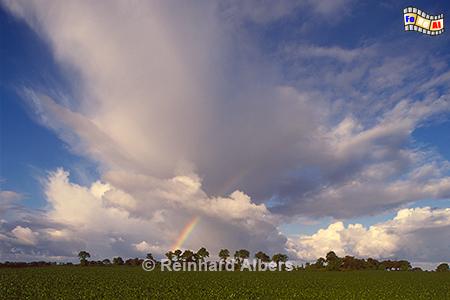 Landschaft bei Arzal in der sdlichen Bretagne, Bretagne, Himmel, Wolken, Landschaft, Wetter, Albers, Foto, foreal,