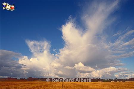Himmel + Wolken bei Arzal in der Bretagne, Bretagne, Himmel, Wolken, Landschaft, Wetter, Albers, Foto, foreal,