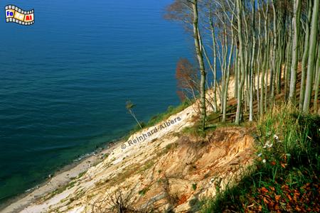 Steilk�ste im Wolliner Nationalpark, Polen, Pommern, Polska, Pomorskie, Wollin, Nationalparkt, Steilk�ste, foreal, Albers, Foto,