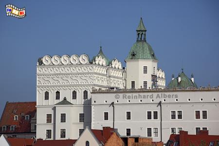 Szczecin (Stettin) Schloss, Polen, Polska, Stettin, Szczecin, Schloss, Zamek, Foto, foreal, Albers,