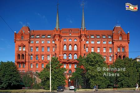 Szczecin (Stettin) - Rathaus/Stadthaus, Polen, Stettin, Szczecin, Rathaus, Albers, Foto, foreal,