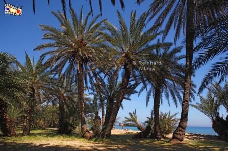 Vai - Palmenstrand, Kreta, Crete, Vai, Palmenstrand, foreal, Foto, Bild,