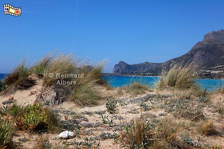 Dnen am Strand von Falassarna., Kreta, Crete, Falassarna, Strand, Foto, Bild, foreal, Albers,