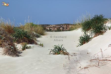 Dnen von Elafonisi., Kreta, Crete, Dnen, Elafonisi, Foto, foreal, Bild, Albers,