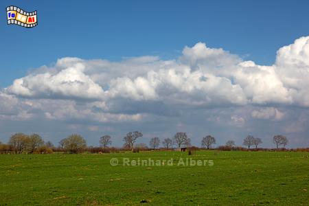 Landschaft bei Albersdorf, Schleswig-Holstein, Wolken, Albersdorf, Landschaft, Wolken, Albers, Foto, foreal,