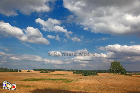 Landschaft bei Thumby auf der Halbinsel Schwansen, Schleswig-Holstein, Schwansen, Thumby, Landschaft, Wolken, Albers, Foto, foreal,