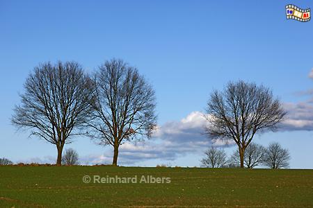 Landschaft am Pfinstberg, Schleswig-Holstein, Pfingstberg, Albers, Foto, foreal,