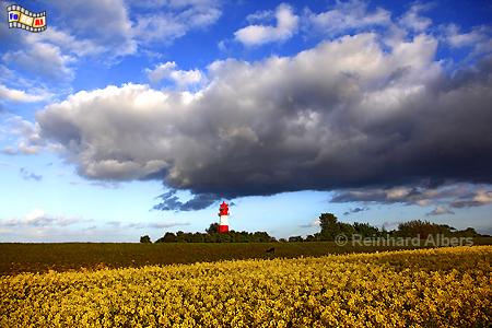 Rapsfeld mit Leuchtturm bei Falshft in Schleswig-Holstein, Falshft, Leuchtturm, Rapsfeld, Ostseekste, Albers, Foto, foreal,