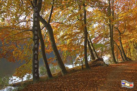 Herbst am Ukleisee in der Holsteinischen Schweiz., Ukleisee, Ostholstein, Holsteinische Schweiz, Wanderweg, Herbst, Albers, Foto, foreal,