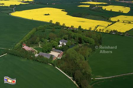Gut Maasleben auf der Halbinsel Schwansen., Rapsblüte, Schwansen, Schleswig-Holstein, Maasleben, Foto, Albers, foreal,