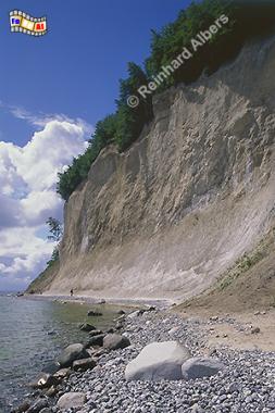 R�gen - Kreidefelsen, Vorpommern, Ostsee, R�gen, Nationalpark, Jasmund, Kreidefelsen, Steilk�ste, Albers, Foto, foreal,