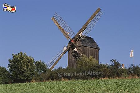 Windmhle bei Pudagla auf der Insel Usedom., Vorpommern, Pudagla, Usedom, Windmhle, Albers, Foto, foreal,
