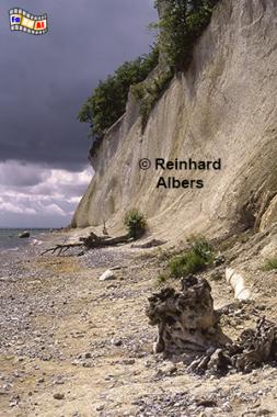 Rgen - Kreidefelsen im Nationalpark Jasmund., Vorpommern, Ostsee, Rgen, Nationalpark, Jasmund, Kreidefelsen, Steilkste, Albers, Foto, foreal,