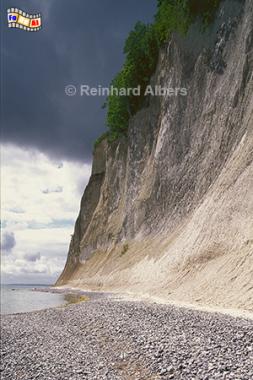 R�gen - Kreidefelsen im Nationalpark Jasmund., Vorpommern, Ostsee, R�gen, Nationalpark, Jasmund, Kreidefelsen, Steilk�ste, Albers, Foto, foreal,