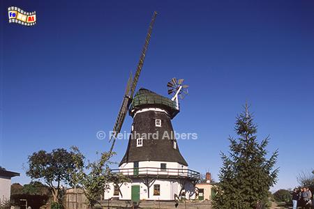 Die Grevesmhlener Mhle von 1878 in Mecklenburg-Vorpommern ist nach ihren Standort benannt., Mecklenburg, Grevesmhlen, Windmhle, Albers, Foto, foreal,