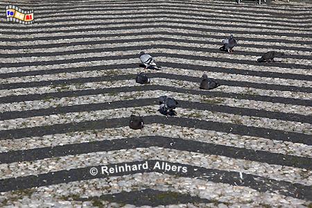 Guimar�es - Pflasterung mit Muster auf dem Largo do Toural, Portugal, Minho, Guimar�es, Kulturhauptstadt, Toural, Albers, Foto, foreal,