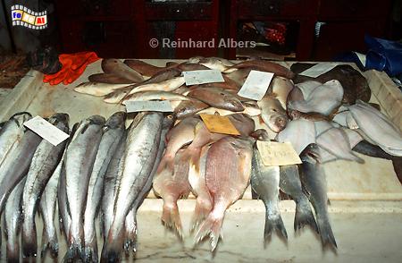 Aveiro - Fischverkauf in der Markthalle, Portugal, Aveiro, Markthalle, Fisch, Albers, foreal,