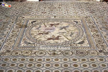 Conimbriga, ausgegrabene rmische Siedlung, Portugal, Rmer, Conimbriga, Siedlung, Mosaik, Albers, Foto, foreal,