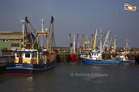 Hafen von Havneby auf der Insel Rm., Nordsee, Havneby, Dnemark, Hafen, Rm, Albers, Foto, foreal,