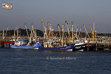 Hafen von Havneby auf der Insel Rm., Nordsee, Havneby, Dnemark, Hafen, Rm, Albers, Foto, foreal,