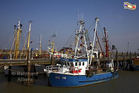 Hafen von Havneby auf der Insel Rm., Nordsee, Havneby, Dnemark, Hafen, Rm, Albers, Foto, foreal,