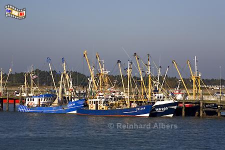 Hafen von Havneby auf der Insel Rm., Nordsee, Havneby, Dnemark, Hafen, Rm, Albers, Foto, foreal,