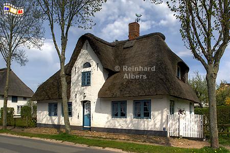 Friesenhaus in Nieblum auf der Insel Fhr., Fhr, Nieblum, Friesenhaus, Nordfriesland, Albers, Foto, foreal,