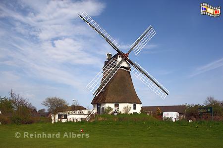 Windmhle in Wrixum auf der Insel Fhr., Nordfriesland, Fhr, Nordseekste, Mhle, Windmhle, Wrixum, Albers, Foto, foreal,