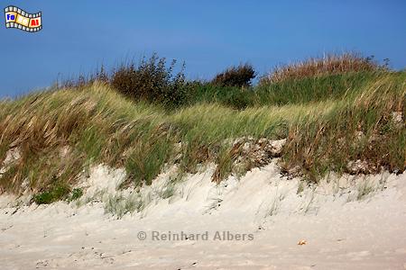 F�hr - Gotingkliff, Nordseek�ste, Nordsee, F�hr, Nordfriesland, Strand, Albers, Foto, foreal,
