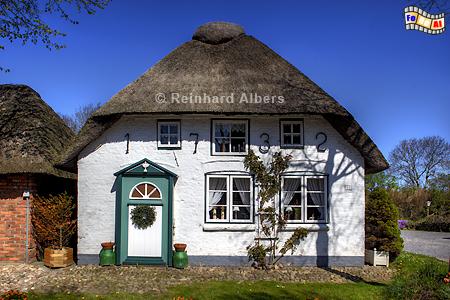 Friesenhaus in Nieblum auf der Insel Fhr., Fhr, Nieblum, Friesenhaus, Nordfriesland, Albers, Foto, foreal,