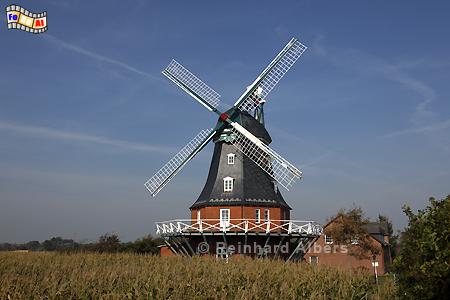 Windmhle bei Borgsum auf der Insel Fhr., Nordfriesland, Fhr, Nordseekste, Mhle, Windmhle, Borgsum, Albers, Foto, foreal,