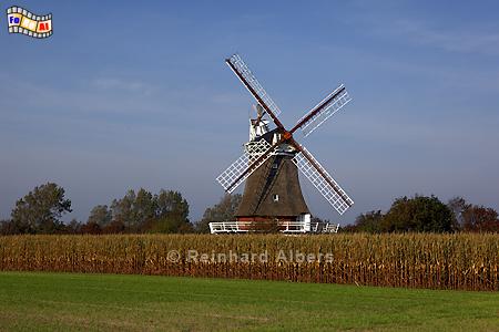 Windmhle bei Klintum auf der Insel Fhr., Nordfriesland, Fhr, Nordseekste, Mhle, Windmhle, Klintum, Albers, Foto, foreal,