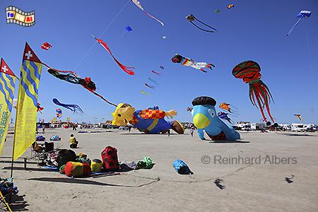 Drachenfest am Strand von St. Peter-Ording., Nordsee, Nordseek�ste, Eiderstedt, Strand, Sankt Peter, Ording, Drachenfest, Albers, foreal, Foto