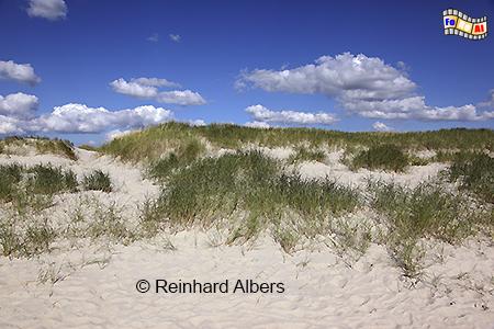 St. Peter-Ording - D�nen, Nordsee, Nordseek�ste, Eiderstedt, Strand, Sankt Peter, Ording, D�nen, Albers, foreal, Foto
