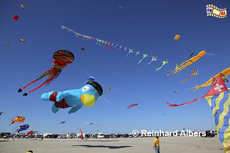 Drachenfest am Strand von St. Peter-Ording., Nordsee, Nordseekste, Eiderstedt, Strand, Sankt Peter, Ording, Drachenfest, Albers, foreal, Foto,
