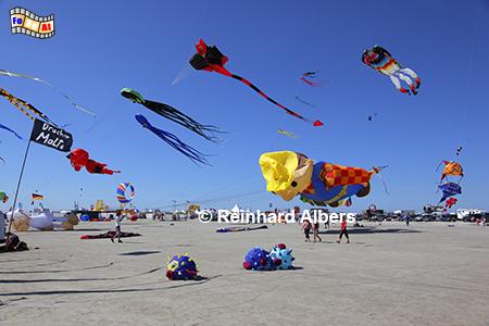 Drachenfest am Strand von St. Peter-Ording., Nordsee, Nordseekste, Eiderstedt, Strand, Sankt Peter, Ording, Drachenfest, Albers, foreal, Foto,