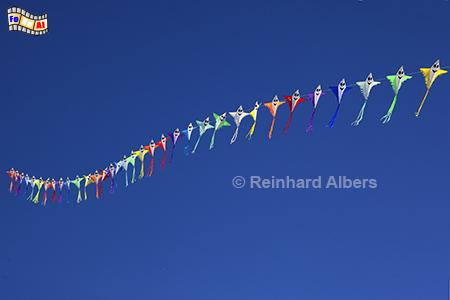 Drachenfest am Strand von St. Peter-Ording., Nordsee, Nordseekste, Eiderstedt, Strand, Sankt Peter, Ording, Drachenfest, Albers, foreal, Foto,
