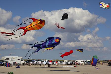 Drachenfest am Strand von St. Peter-Ording., Nordsee, Nordseek�ste, Eiderstedt, Strand, Sankt Peter, Ording, Drachenfest, Albers, foreal, Foto,