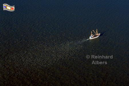 Fischkutter im Wattenmeer, 