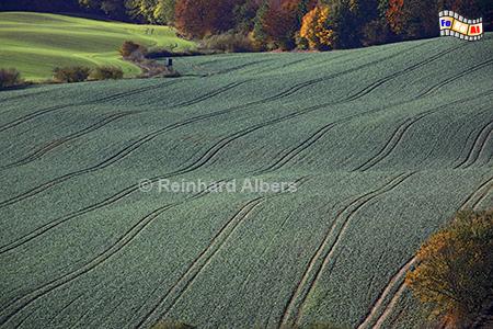 Blick vom Bungsberg im Oktober, Schleswig-Holstein, Ostholstein, Bungsberg, H�gellandschaft, Albers, Foto, foreal.