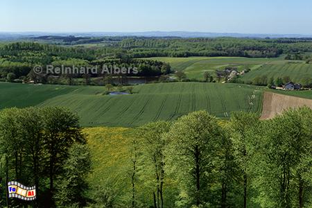 Blick vom Bungsberg, Schleswig-Holstein, Ostholstein, Holsteinische, Schweiz, Bungsberg, Winter, Albers, Foto, foreal,