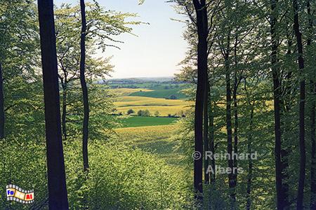 Auf dem Bungsberg, Schleswig-Holstein, Ostholstein, Bungsberg, H�gellandschaft, Albers, Foto, foreal,