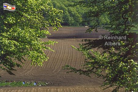 Blick vom Bungsberg, Schleswig-Holstein, Ostholstein, Bungsberg, H�gellandschaft, Albers, Foto, foreal,