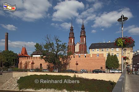 Opole (Oppeln) - Dom, Polen, Schlesien, Opole, Oppeln, Dom, Albers, foreal,