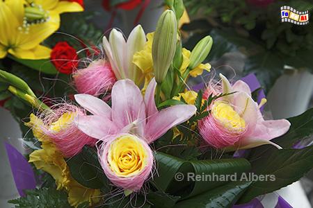 Wrocław (Breslau) - Blumen auf dem Plac Solny (Salzmarkt), Polen, Breslau, Wrocław, Blumen, Plac Solny, Salzmarkt, Albers, foreal,