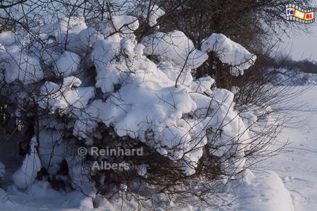Ratzeburg - Winteridylle am Kchensee., Schleswig-Holstein, Herzogtum Lauenburg, Kchensee, Winter, Albers, foreal, Foto,
