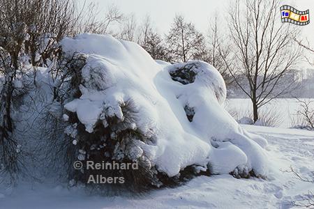 Ratzeburg - Winteridylle am Kchensee., Schleswig-Holstein, Herzogtum Lauenburg, Kchensee, Winter, Albers, foreal, Foto,
