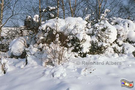 Ratzeburg - Winterstimmung auf der Dominsel., Schleswig-Holstein, Herzogtum Lauenburg, Dominsel, Winter, Albers, foreal, Foto,