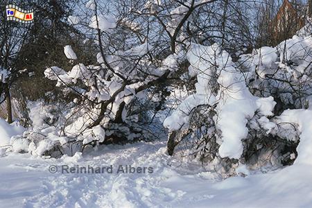 Ratzeburg - Winteridylle am Kchensee., Schleswig-Holstein, Herzogtum Lauenburg, Kchensee, Winter, Albers, foreal, Foto,