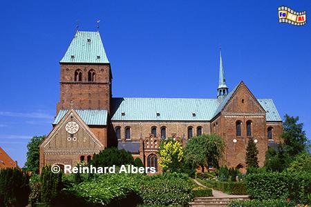 Ratzeburger Dom, Schleswig-Holstein, Herzogtum Lauenburg, Ratzeburg, Dom, Albers, Foto, foreal,